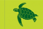 Regional Flag of Land of Turtles