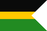 Regional Flag of New South Pacific