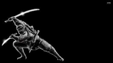 Regional Flag of Ninja