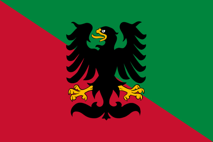 Regional Flag of Strasbourg